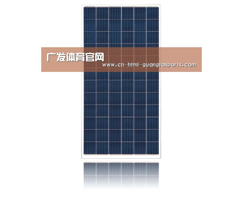 产品名称一