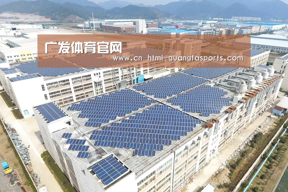 案例展示三