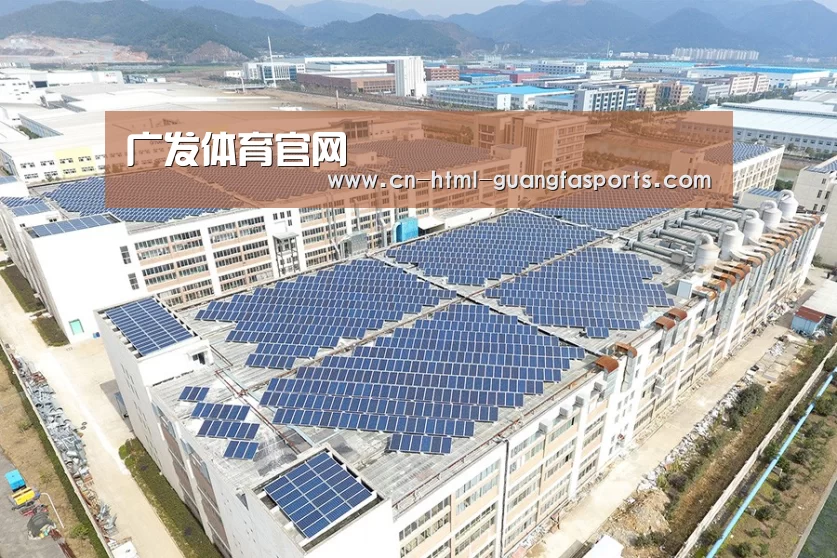 案例展示四
